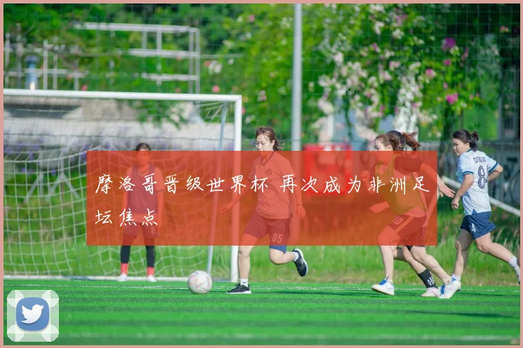 摩洛哥晋级世界杯 再次成为非洲足坛焦点