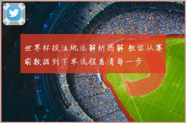 世界杯投注玩法解析图解 教你从赛前数据到下单流程看清每一步