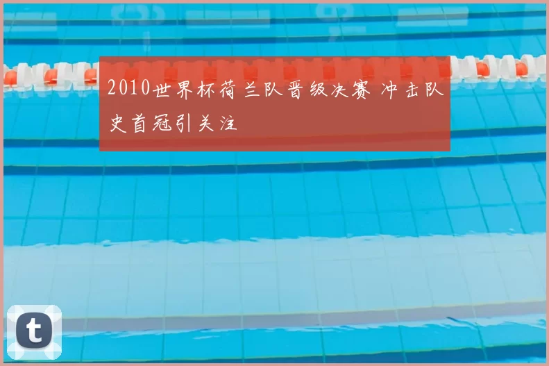 2010世界杯荷兰队晋级决赛 冲击队史首冠引关注