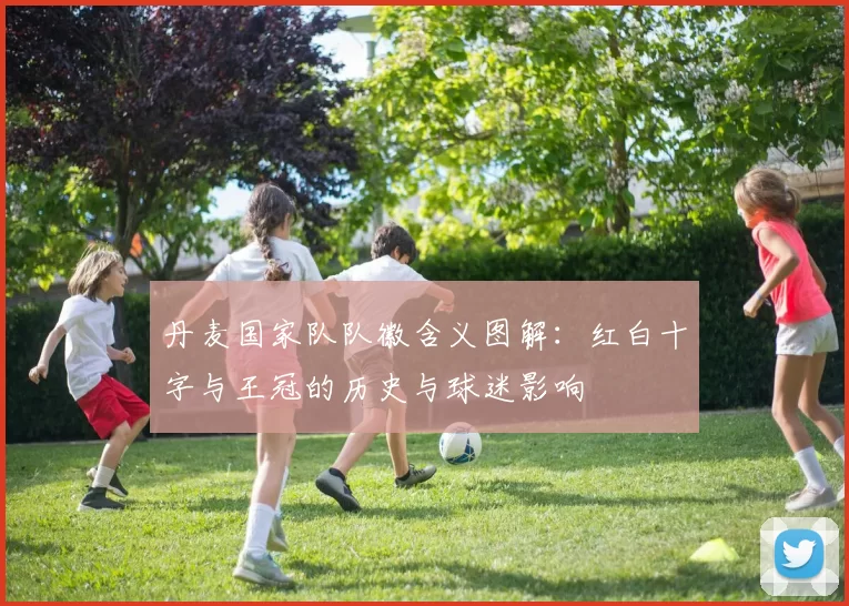 丹麦国家队队徽含义图解：红白十字与王冠的历史与球迷影响